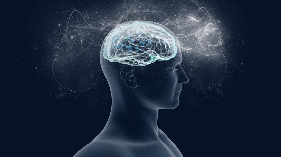 neurosciences